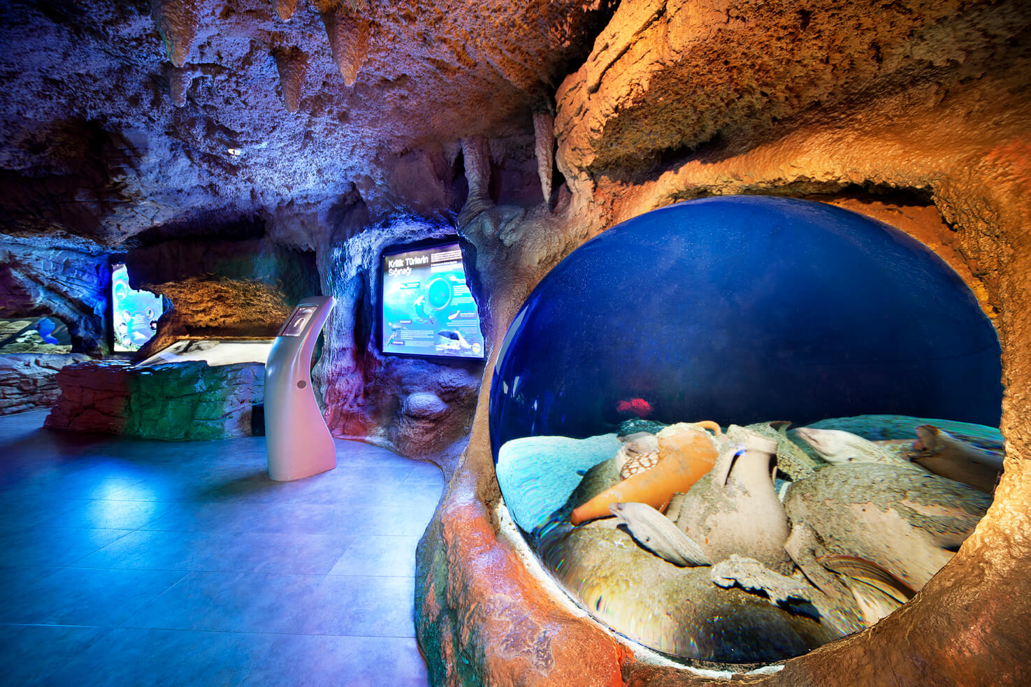 Istanbul Aquarium Standard Entry Ticket